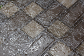 Rain in the city. Raindrops in a puddle of water