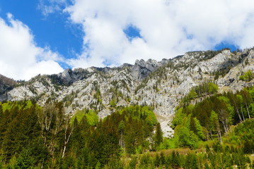 Fototapeta na wymiar steirische Berge