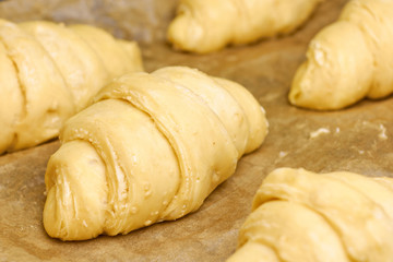 Fototapeta na wymiar Producing of classic croissants from rolled layered dough. at home. Raw classic crescent rolls on a baking paper. Traditional french pastry