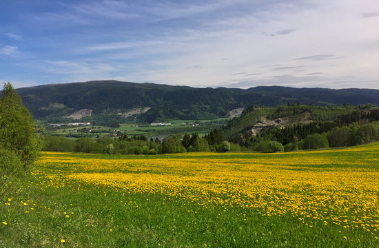 Melhus flower meadow landscape and river Gaula