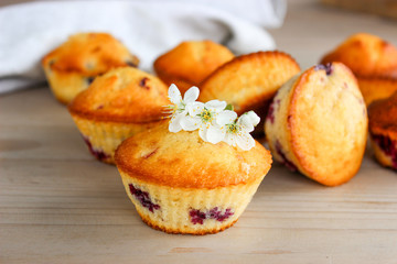Muffins with black currants