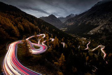 Maloja Snake