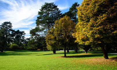 Día de picnic por el jardín botánico de San Francisco