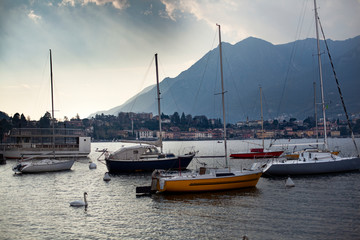 Fototapeta premium View of boats on Lecco Lake´s bay with one swan. Lecco City, Lombardy, Italy.