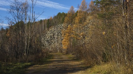 Autumn road in the forest against the backdrop of the mountains