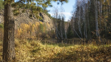 View of an overgrown pond in the autumn forest