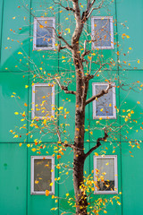 緑のビルと街路樹