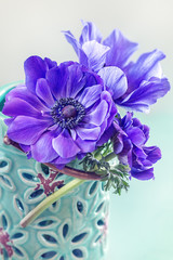 Beautiful bouquet of spring anemone flowers in a vase on the table. Lovely bunch of flowers.