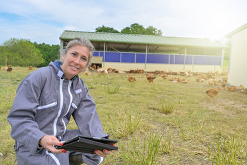 Female farmer analysing the growth of her chicken breeding on her tablet