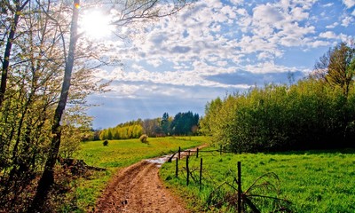 Górska droga po deszczu. © Adam