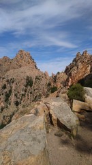 34,35,124,137.676941