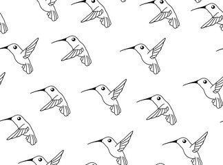 Hummingbird Line Texture Pattern