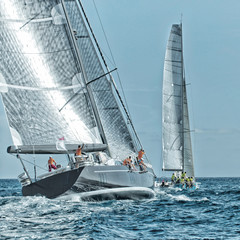 Sailing yacht regatta. Yachting. Sailing  © Alvov