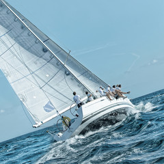Sailing yacht regatta. Yachting. Sailing - 346951244