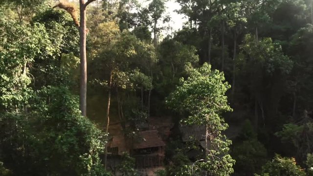 Drone shot of the middle of Thailands Jungle
