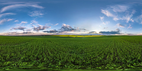 full seamless spherical hdri panorama 360 degrees angle view on among green fields in evening with...