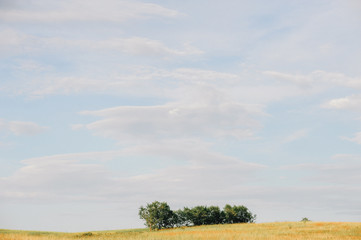 Obraz premium landscape with blue sky and clouds