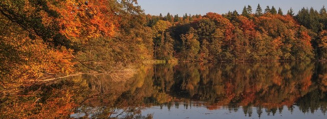 panoramic lake view in fall