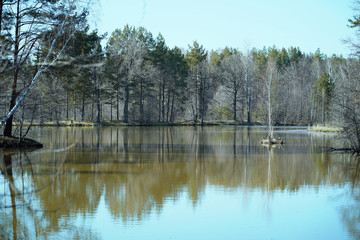 spring nature landscape green and bare trees lake reflection of trees in water blue sky green water suburban area