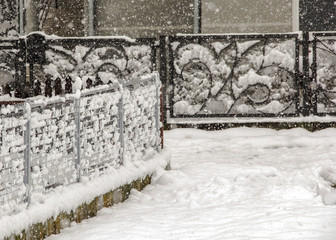 Snow-covered iron  fences