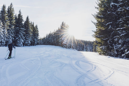 Germany, Bavaria, Reit im Winkl, Female backpacker skiing in winter forest at sunrise