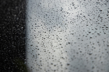 Obraz premium Drops after rain 