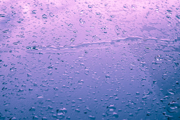 Drops after rain mirroring the sunrise