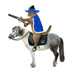 Fototapeta premium The beige cat musketeer in a hat with a feather and a blue cloak with a flintlock pistol rides a gray horse. White background. Isolated.