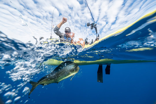 Split shot of man in a kayak catching a fish