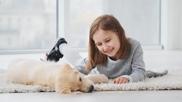 Cheerful girl playing with golden retriever puppy on floor