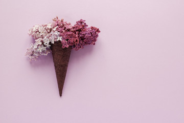 spring Flowers of lilac laid out by a gradient in a waffle cone. Feel the taste of spring. Minimalism Art Design