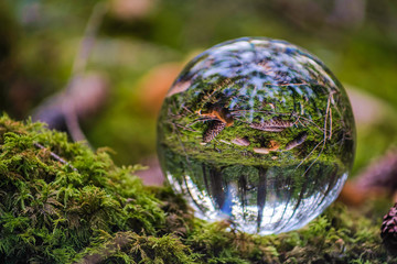 The ball in the woods on a stump with moss. Glass - a material, concepts and themes, environment, nature. Beautiful reflection of the cones, fairy tale forest