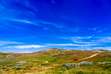 Fototapeta premium Car in Rolling Hills