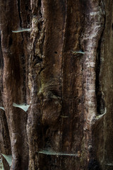 interior photos with covid19 and abstract