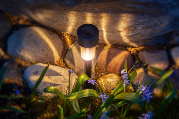 A solar lamp illuminates a composition of stones, flowers and grass. Beams of warm light diverge...
