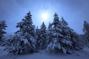 Colorado, Snow-scape where the sun looks like the moon