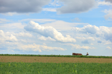 Amish farmer plowing field in Pennsylvania