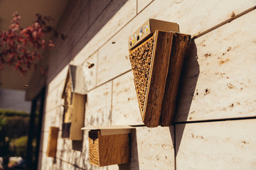 Bee hotel being visited by bees