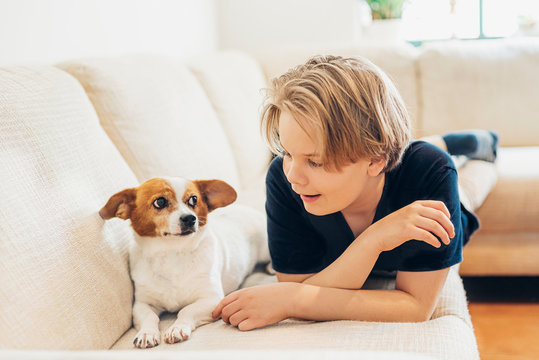 Boy with dog lying on couch in living room at home