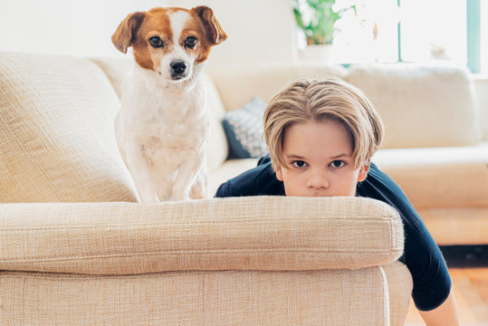 Portrait of boy with dog lying on couch in living room at home