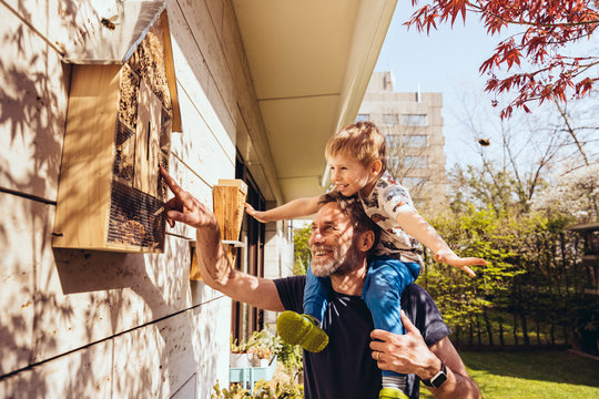 Father and son inspecting their insect hotel with bees