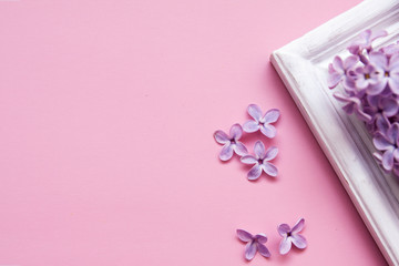 Lilac flowers and photo frame on a pink background flat lay. Flower layout for text