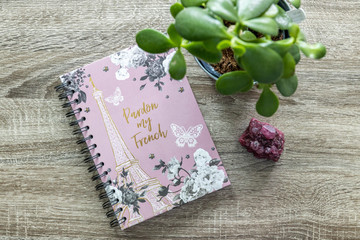 Paris notebook with green plant