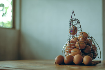 Gallina con huevos 