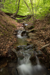 
exploration of spring nature after covid19