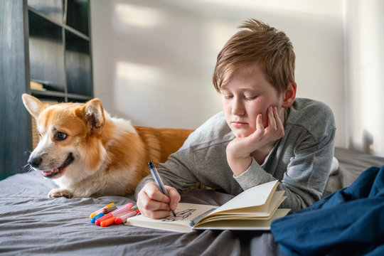 Portrait of drawing boy lying on bed with his dog