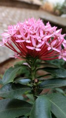 LOVE THE BEAUTY OF NATURE...