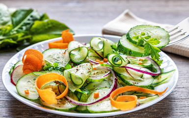 Healthy diet green salad with cucumbers in a white plate, fork over a dish, shallow depth of field, selective focus. Organic food concept.