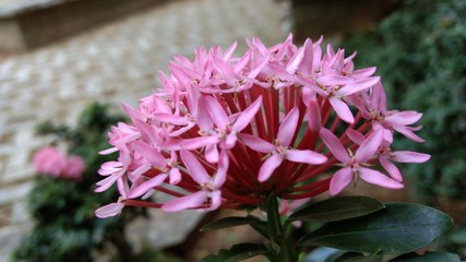 LOVE THE BEAUTY OF NATURE...