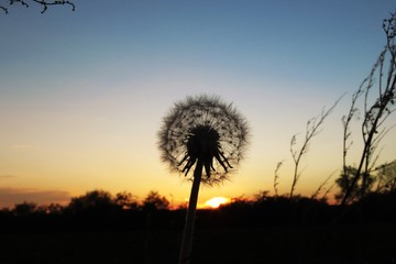 Fototapeta premium Espoir